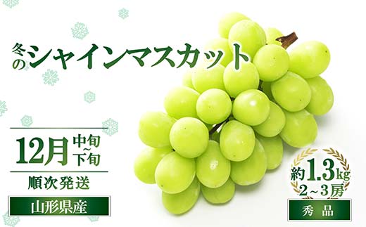 【令和8年産先行予約】 JA 冬のシャインマスカット 約1.3kg (2