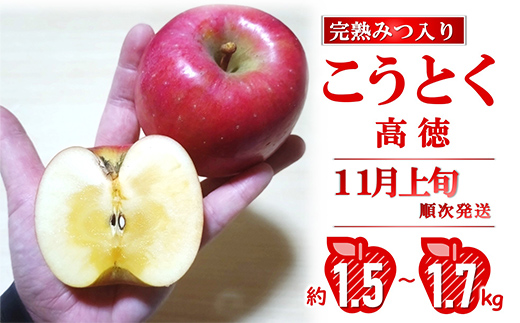 【令和8年産先行予約】 完熟みつ入り こうとく(高徳) 約1.5