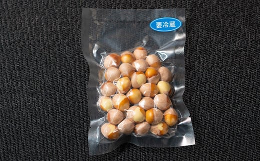 ≪先行予約≫2025年 山形県産 銀杏 むき実 L 約1kg（100g×10パック） 2025年10月中旬から順次発送 ぎんなん おつまみ 真空パック 個包装 小分け 秋 野菜 F20A-732