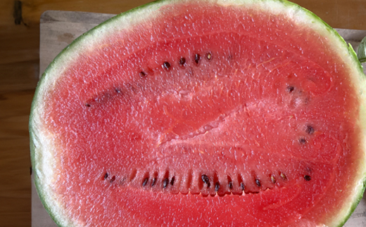 《先行予約》2026年 山形県産 お子さんに大人気！小玉スイカ「ピノガール」 1玉（2kg以上） すいか スイカ 西瓜 フルーツ 果物 野菜 F21A-245