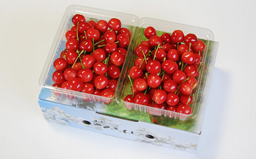 《先行予約》山形県産 さくらんぼ 紅秀峰 バラパック詰 秀 Ｌ玉以上 1kg (500g×2) 2026年6月下旬から順次発送 果物 フルーツ nf-bsbpx500x2