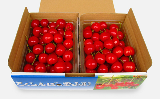 《先行予約》 山形県産 さくらんぼ 佐藤錦 バラパック詰 秀 Ｌ玉以上 1kg (500g×2) 2026年6月中旬から順次発送 果物 フルーツ nf-snbpx500x2