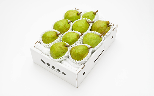 【先行予約】ラ・フランス 化粧箱 3kg 令和8年産 2026年産 山形県産 ラフランス 果物 ※沖縄・離島への配送不可 ns-laxxx3