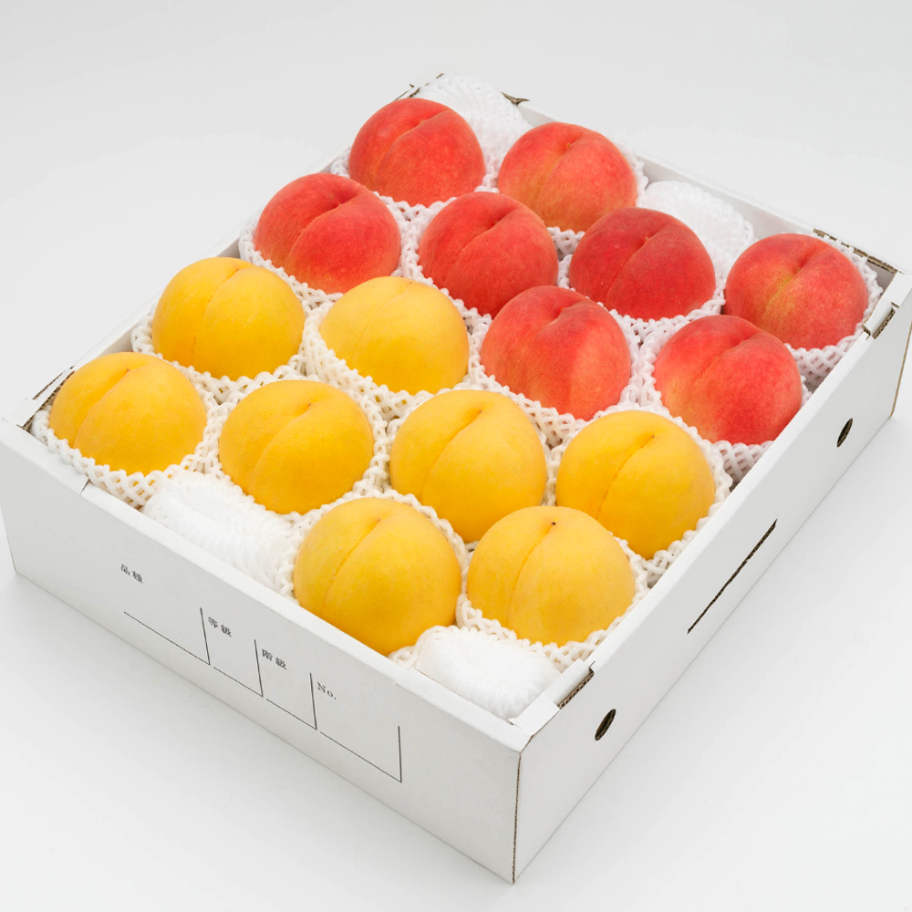 《先行予約》白桃＆有袋黄桃 秀品 品種おまかせ 化粧箱入り 約5kg 令和八年産 2026年産 山形県産 果物 ※沖縄・離島への配送不可 ns-mohot5