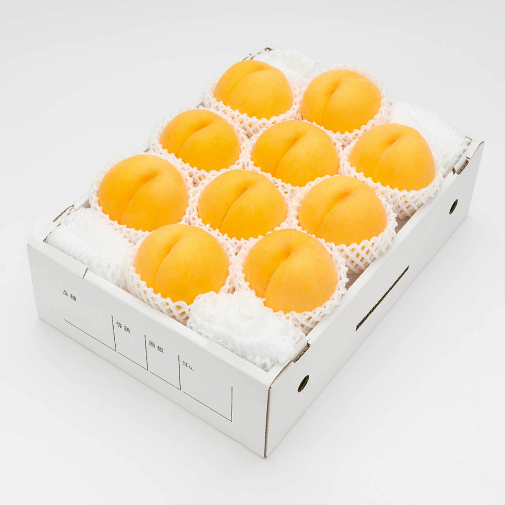 《先行予約》有袋黄桃 秀品 品種おまかせ 化粧箱入り 約3kg 令和8年産 2026年産 山形県産 果物 ※沖縄・離島への配送不可 ns-mootx3