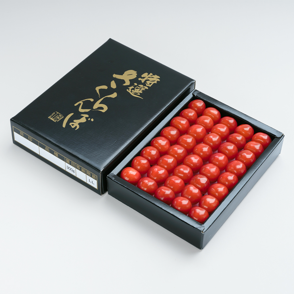 《先行予約》 さくらんぼ 佐藤錦 特秀2Lサイズ プレゼント ギフト 化粧箱入 300g 2026年産 令和8年産 山形県産 ns-snt2x300