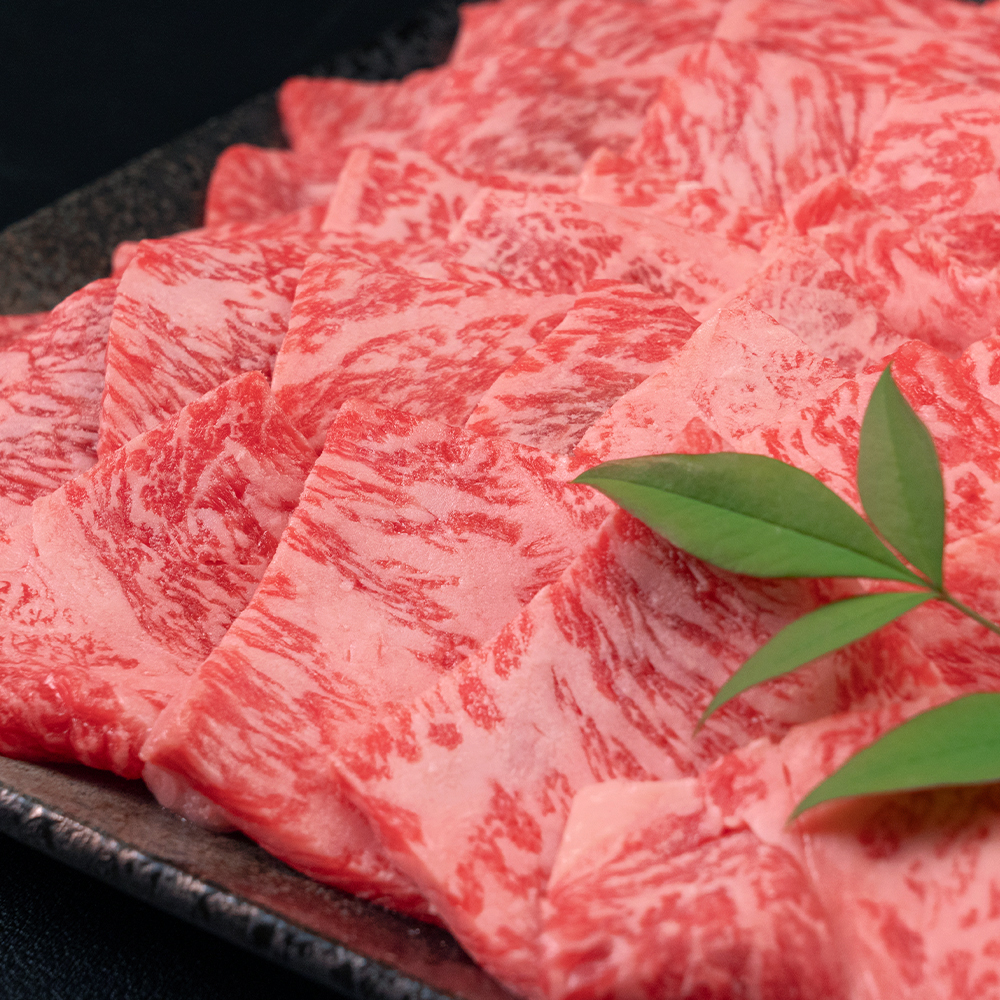 山形牛 ロース 焼肉 1kg A4-A5ランク 冷凍 高橋畜産 tc-gnrxg1000