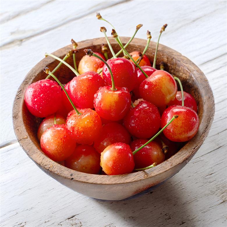 【先行予約】 さくらんぼ 特選 紅秀峰 秀品 約1kg 令和8年産 2026年産 山形県産 フルーツ 果物 tf-bsbsl1000