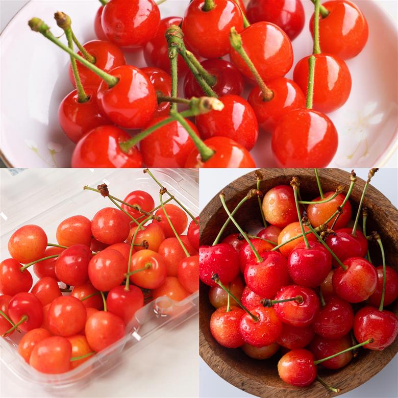 【先行予約】【定期便】2026年産 さくらんぼ 定期便 全3回 紅さやか 佐藤錦 紅秀峰 サクランボ tf-ft3sa