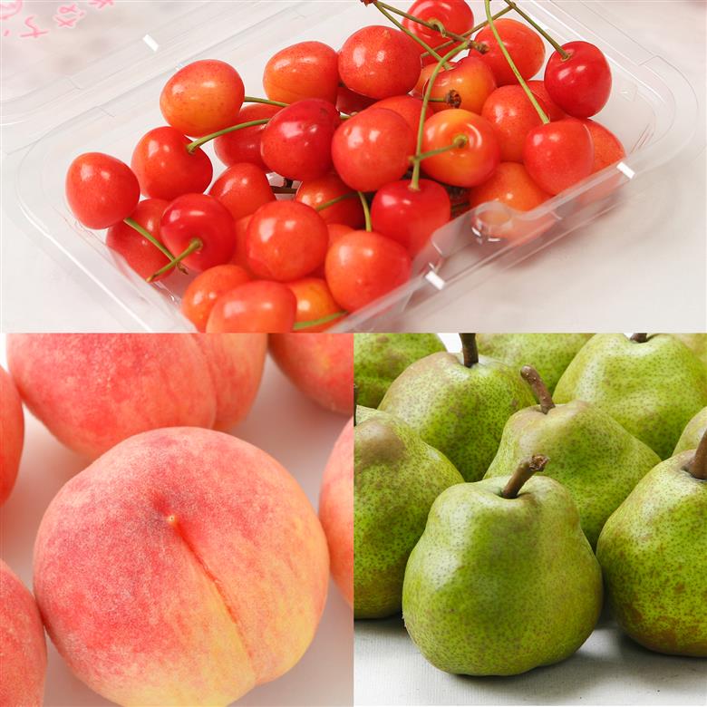 【先行予約】【フルーツ定期便】品種おまかせさくらんぼ・品種おまかせ白桃・ラ・フランス 秀品 全3回 果物 くだもの 山形県 山辺町 送料無料 tf-ft3shl-s ※沖縄・離島への配送不可