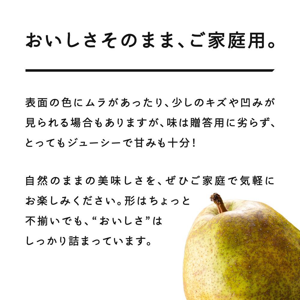 【先行予約】 ラ・フランス〇秀品 約3kg(6~12個程度) ご家庭用 洋梨  2026年産 山形県産 ※沖縄・離島への配送不可 tf-lamxx3