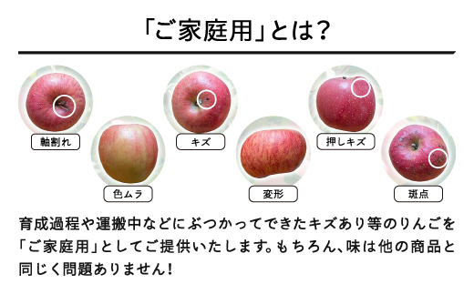 【先行予約】りんご サンふじ ご家庭用 約10kg(24~50玉) 2026年産 山形県産 甘い シャキシャキ 食感 リンゴ 林檎 フルーツ 果物 果樹 ※沖縄・離島への配送不可