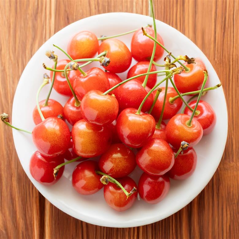 【先行予約】さくらんぼ 特選 佐藤錦 秀品 約1kg 令和8年産 2026年産 山形県産 フルーツ 果物 tf-snbsl1000