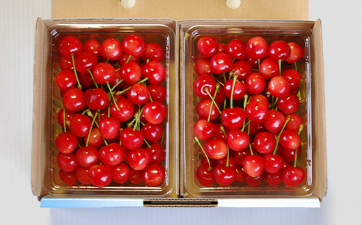 《先行予約》山形県産 さくらんぼ 紅秀峰 バラパック詰 秀 Ｌ玉以上 1kg (500g×2) 2026年6月下旬から順次発送 果物 フルーツ nf-bsbpx500x2