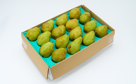 【先行予約】ラ・フランス ご家庭用 5kg 令和8年産 2026年産 西洋梨 山形県産 果物 送料無料 ※沖縄・離島への配送不可 ns-laxxw5