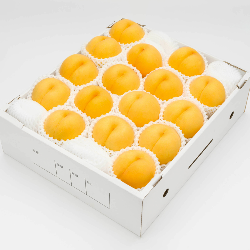《先行予約》有袋黄桃 秀品 品種おまかせ 化粧箱入り 約5kg 令和8年産 2026年産 山形県産 果物 ※沖縄・離島への配送不可 ns-mootx5