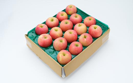 【先行予約】サンふじ ご家庭用 5kg 令和8年産 2026年産 りんご サンふじ 山形県産 果物 送料無料 ※沖縄・離島への配送不可 ns-risfw5