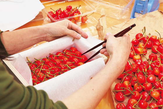 《先行予約》2026年 山形県産 特選月山錦 桐箱 約700g 2L以上 やまのべ多田耕太郎のさくらんぼ サクランボ F20A-058