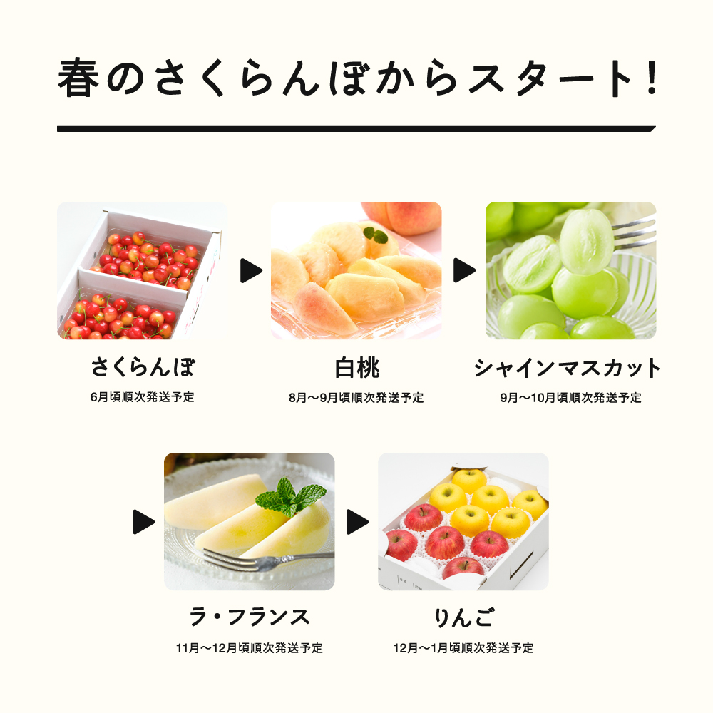 【先行予約】【春始まり】フルーツ定期便 全5回 2026産 令和8年産 さくらんぼ 佐藤錦 白桃 ぶどう シャインマスカット ラフランス ラ・フランス りんご サンふじ シナノゴールド 果物 送料無料 ns-ft5xx-sp ※沖縄及び離島への配送不可