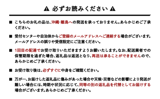 【先行予約】ラ・フランス 化粧箱 3kg 令和8年産 2026年産 山形県産 ラフランス 果物 ※沖縄・離島への配送不可 ns-laxxx3