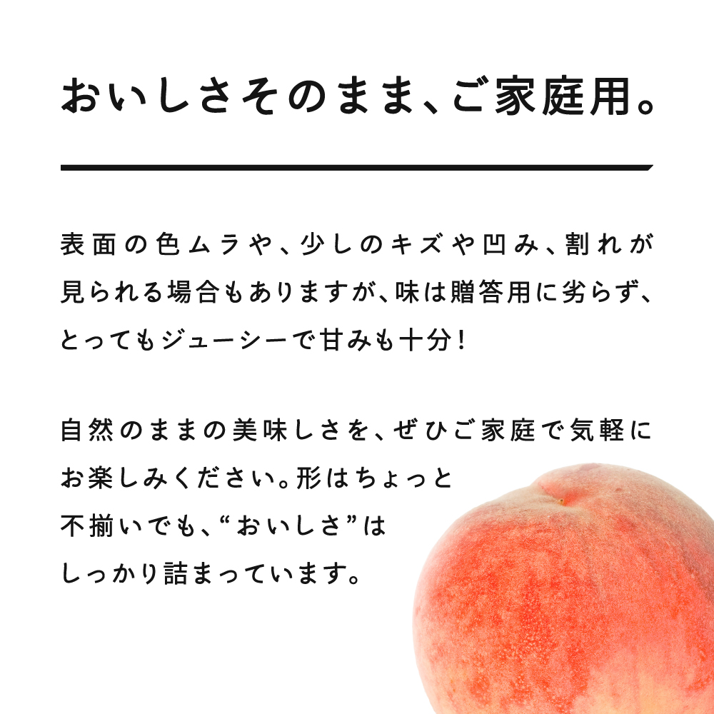 【先行予約】もも 桃 品種おまかせ 白桃 ご家庭用 約5kg(10~25個程度) 2026年産 山形県産 ※沖縄・離島への配送不可 tf-moywm5
