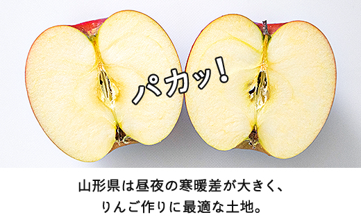【先行予約】りんご サンふじ ご家庭用 約10kg(24~50玉) 2026年産 山形県産 甘い シャキシャキ 食感 リンゴ 林檎 フルーツ 果物 果樹 ※沖縄・離島への配送不可