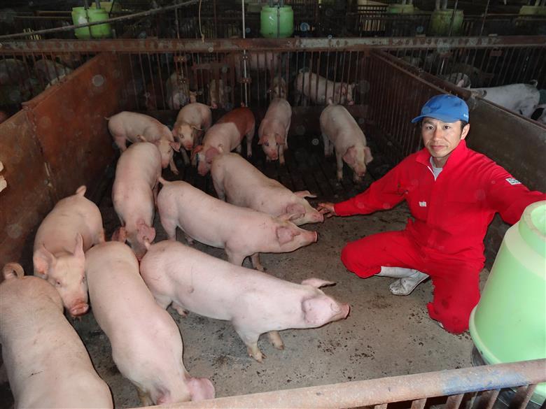 山辺のお米で育ったブランド豚「舞米豚」ロース・バラスライス 2.8kg F20A-686