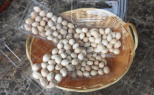 2025年産 山形県産 銀杏 殻付き L 約1kg（200g×5パック） 2025年10月上旬から順次発送 ぎんなん おつまみ 真空パック 個包装 小分け 秋 野菜 F20A-730