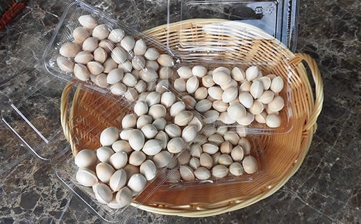 ≪先行予約≫2025年 山形県産 銀杏 むき実 3L 約1kg（100g×10パック） 2025年10月中旬から順次発送 ぎんなん おつまみ 真空パック 個包装 小分け 秋 野菜 F20A-929