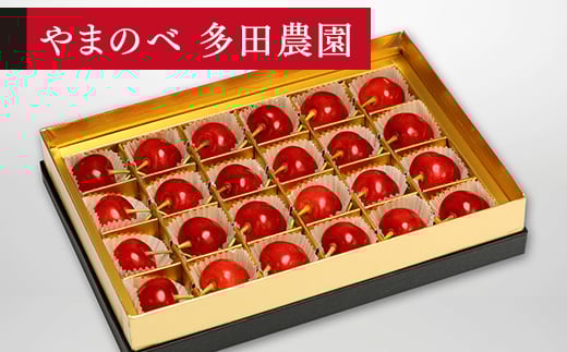《先行予約》2026年 山形県産 珠玉佐藤錦 みやび箱24粒 やまのべ多田耕太郎のさくらんぼ サクランボ F20A-039
