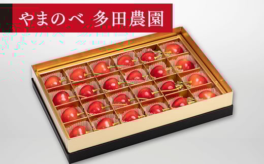 《先行予約》2026年 山形県産 珠玉ダイアナブライト みやび箱詰24粒 やまのべ多田耕太郎のさくらんぼ サクランボ F20A-043