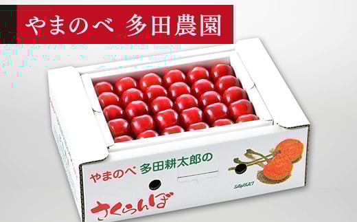 《先行予約》2026年 山形県産 紅秀峰 本詰め 約500g L~2L やまのべ多田耕太郎のさくらんぼ サクランボ F20A-046