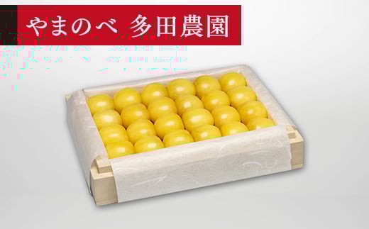 《先行予約》2026年 山形県産 特選月山錦 桐箱詰め約300g やまのべ多田耕太郎のさくらんぼ サクランボ F20A-051