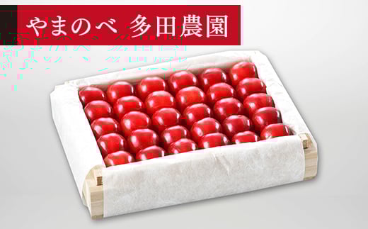 《先行予約》2026年 山形県産 特選「真夏のルビー紅姫」 桐箱詰め約300g やまのべ多田耕太郎のさくらんぼ サクランボ F20A-052