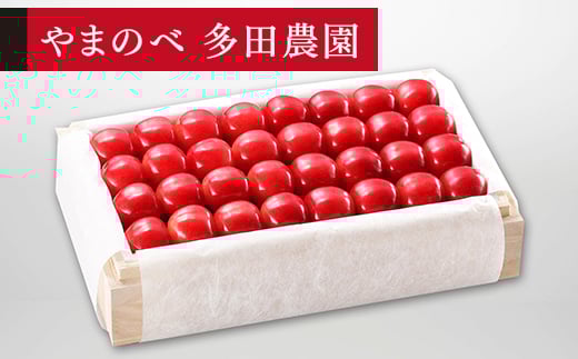 《先行予約》2026年 山形県産 特選ダイアナブライト 桐箱詰め 約700g 2L以上 やまのべ多田耕太郎のさくらんぼ サクランボ F20A-057