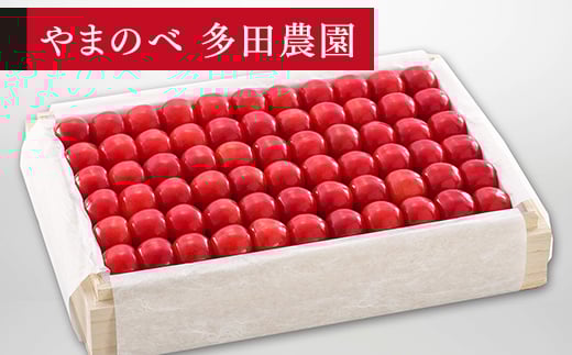 《先行予約》2026年 山形県産 特選佐藤錦 桐箱詰め 約1100g やまのべ多田耕太郎のさくらんぼ サクランボ F20A-060