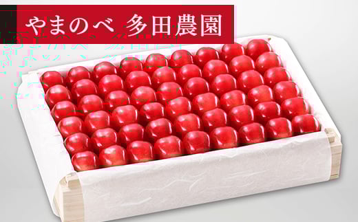 《先行予約》2026年 山形県産 特選ダイアナブライト 桐箱詰め 約1100g 2L以上 やまのべ多田耕太郎のさくらんぼ サクランボ F20A-063