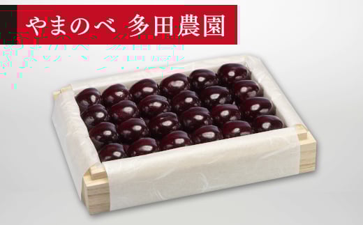 《先行予約》2026年 山形県産 特選サミット 桐箱詰め 約300g やまのべ多田耕太郎のさくらんぼ サクランボ F20A-785