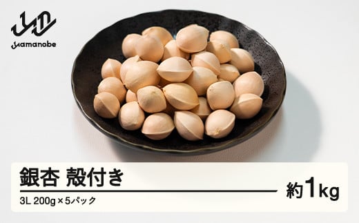≪先行予約≫2025年 山形県産 銀杏 殻付き 3L 約1kg（200g×5パック） 2025年10月上旬から順次発送 ぎんなん おつまみ 真空パック 個包装 小分け 秋 野菜 F20A-928