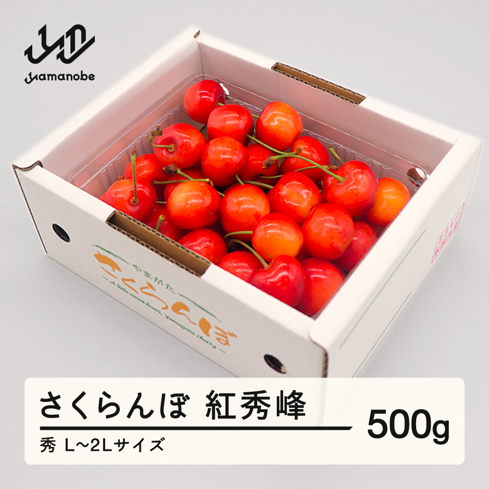 【先行予約】さくらんぼ 紅秀峰 秀品 L-2L玉 500g バラ詰 2026年産 令和8年産 山形県産 mm-bsbax500