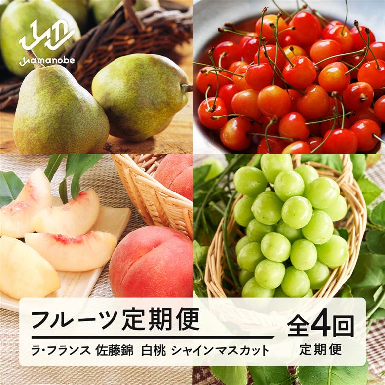 【先行予約】【春始まり】フルーツ満足定期便 定期便 全4回 2026年産  さくらんぼ 佐藤錦 もも 白桃 ぶどう シャインマスカット ラ・フランス 果物 山形県産 送料無料 ※沖縄・離島への配送不可 mm-ft4yz