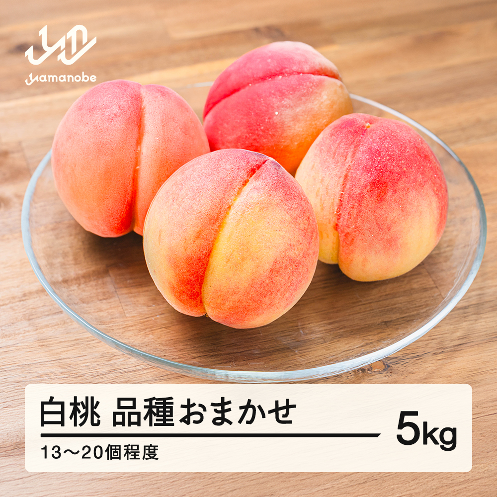 【先行予約】もも 白桃 品種おまかせ 約5kg 令和8年産 2026年産 山形県産 果物 送料無料 mm-mokox5000 ※沖縄・離島への配送不可
