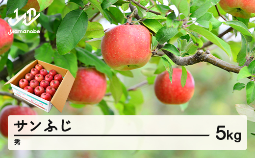 【先行予約】りんご サンふじ 約5kg 秀品 リンゴ 林檎 令和8年産 2026年産 果物 山形県産 mm-risfs5
