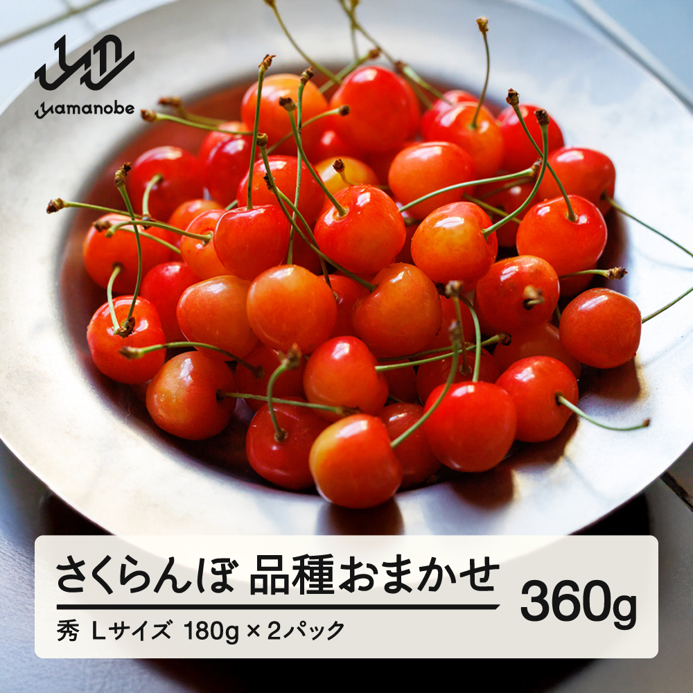【先行予約】 さくらんぼ 品種おまかせ 秀品 L玉 180g×2パック 2026年産 令和8年産 山形県産 mm-saosl360