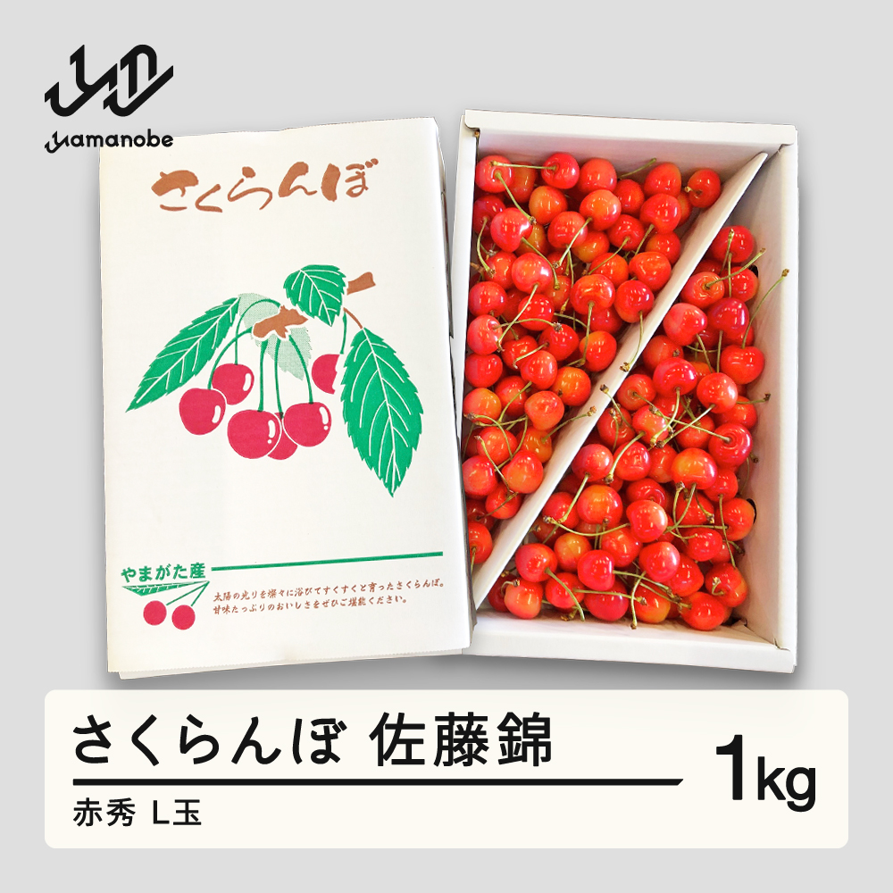 【先行予約】 さくらんぼ 佐藤錦 赤秀 L玉 1kg バラ詰 ご家庭用 2026年産 令和8年産 山形県産 mm-snalx1000