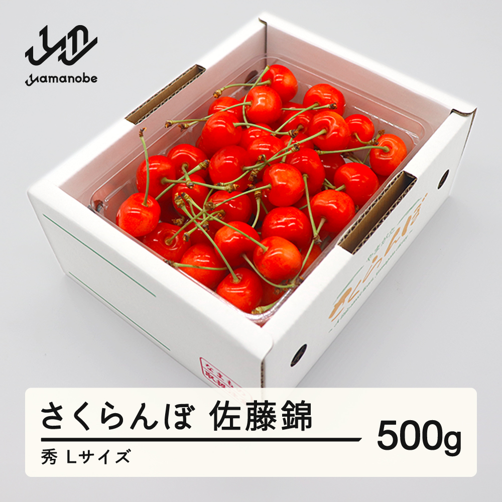 先行予約 さくらんぼ 佐藤錦 秀品 L玉 500g バラ詰 2026年産 令和8年産 山形県産 mm-snbax500