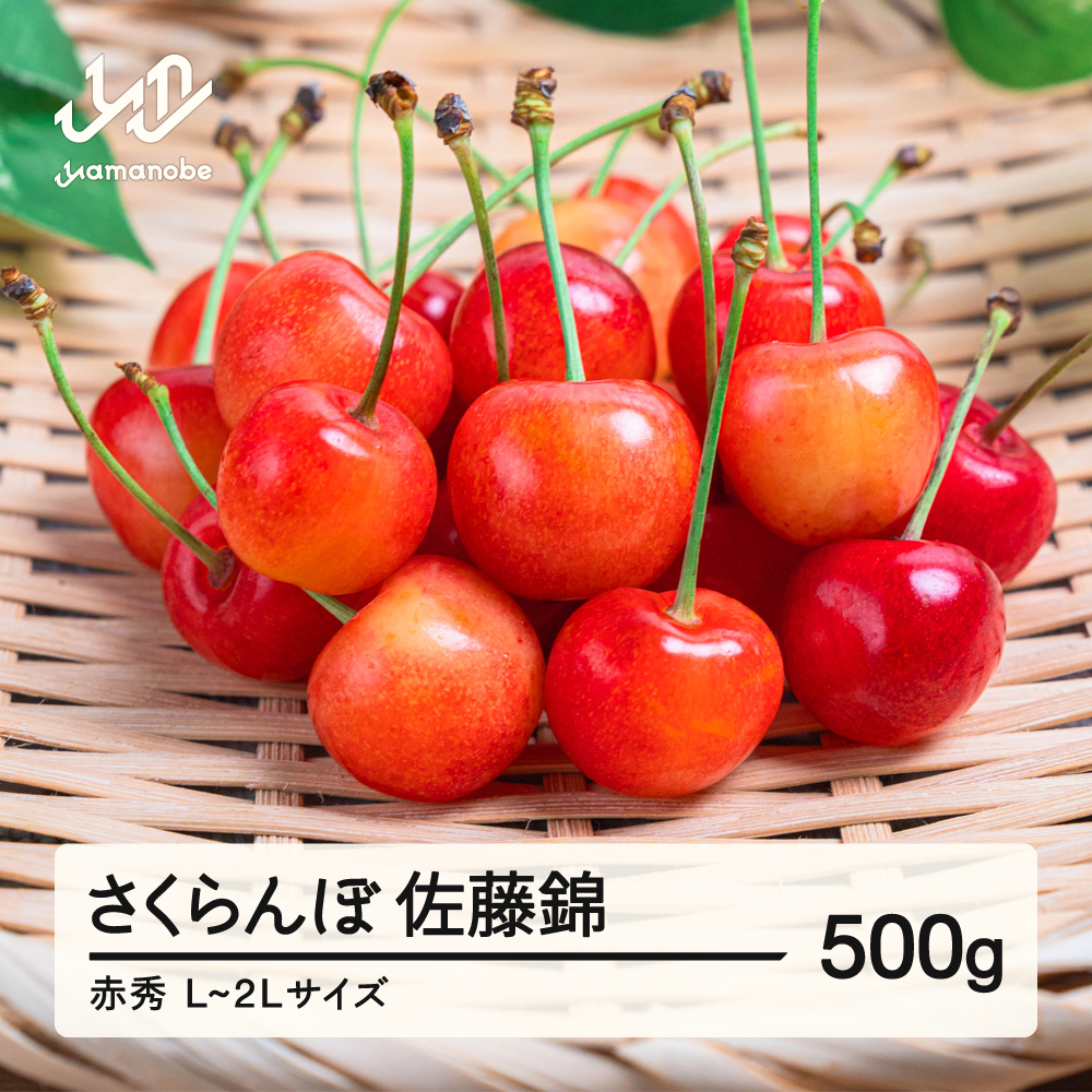 【先行予約】さくらんぼ 佐藤錦 赤秀品 500gパック L-2L玉 2026年産 令和8年産 山形県産 mm-snpcx500