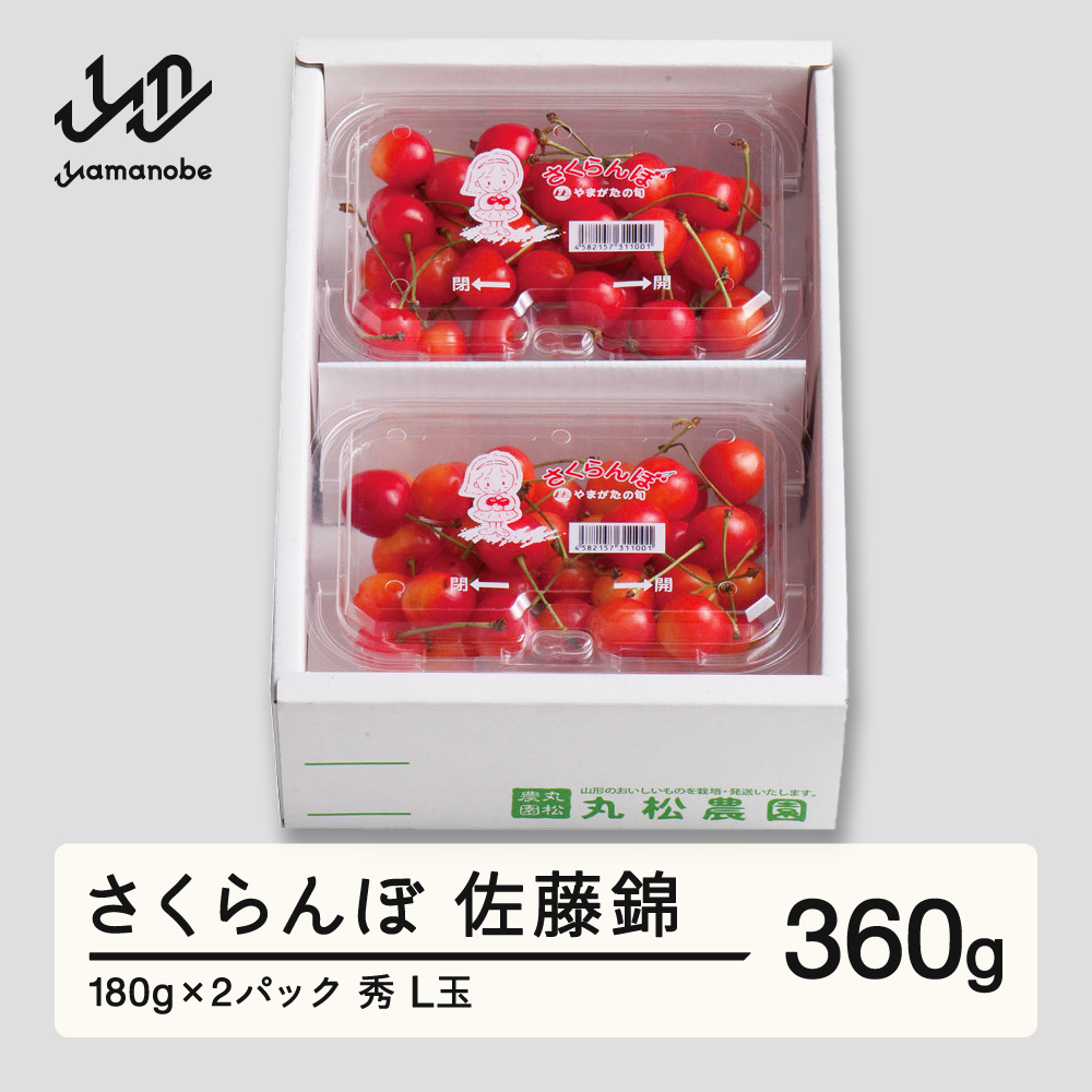 【先行予約】さくらんぼ 佐藤錦 秀品 L玉 180g×2パック 2026年産 令和8年産 山形県産 mm-snplx400