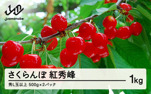《先行予約》山形県産 さくらんぼ 紅秀峰 バラパック詰 秀 Ｌ玉以上 1kg (500g×2) 2026年6月下旬から順次発送 果物 フルーツ nf-bsbpx500x2