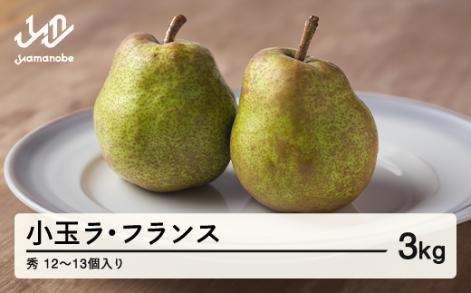 《先行予約》山形県産 小玉ラ・フランス 秀 3kg (12~13個入り) nf-lasyk3